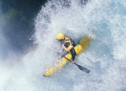 关于布伦森复出首秀出彩，明尼苏达森林狼主场大胜丹佛掘金，豪取20连胜的信息